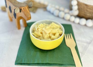 Wellbeing Food Co - Mac n Cheese - Childcare Catering - Healthy Kids Meal