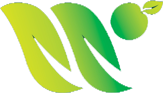 logo icon